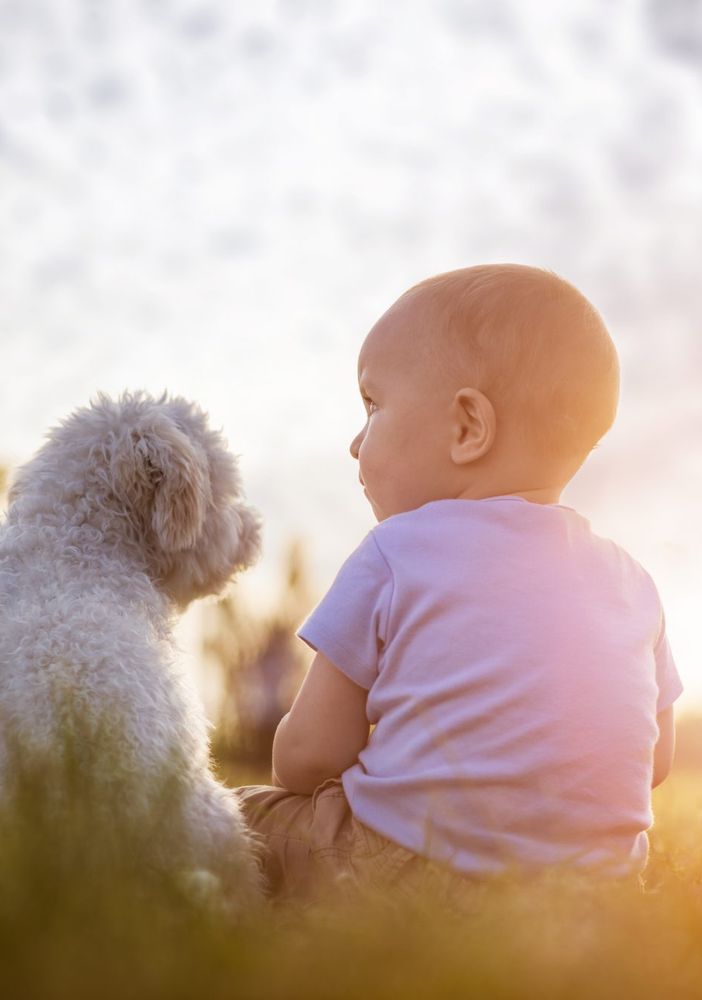 PETFESTIVAL 2022, che spettacolo!