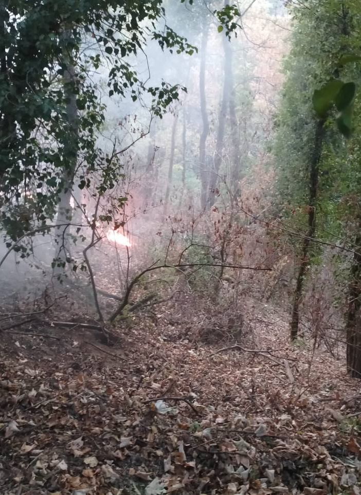Golasecca, incendio boschivo minaccia due abitazioni: intervengono i vigili del fuoco