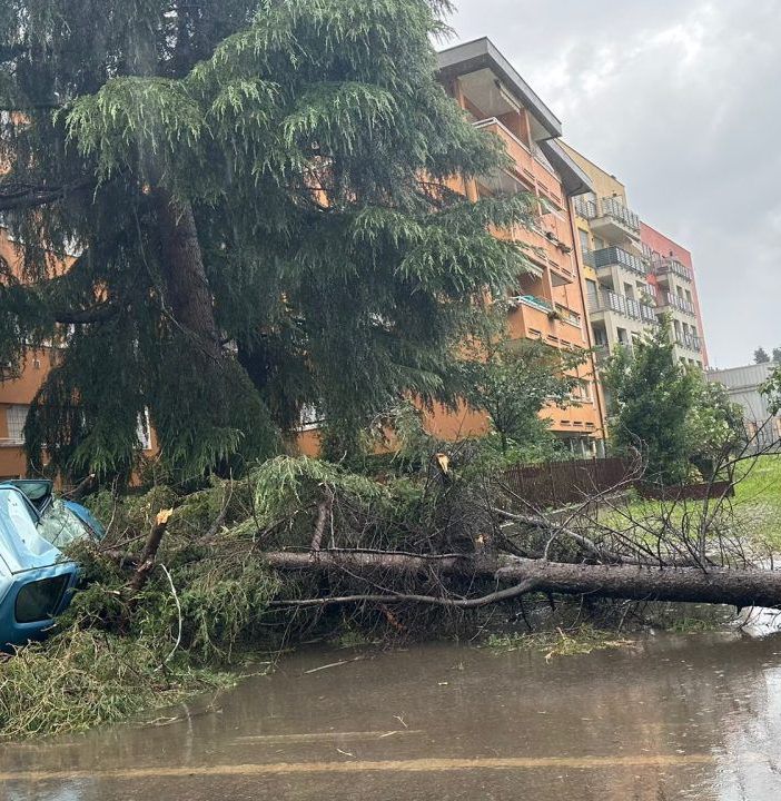 Danni e tettoie volate a terra a Parabiago (foto Ezio Conti via NaturalMeteo). Sotto nella gallery auto investite dal crollo di un gigantesco ramo a Saronno (foto da IlSaronno.it), due immagini degli interventi dei vigili del fuoco in provincia e la parte di tetto del centro commerciale "Il Centro" crollata Danni e tettoie volate a terra a Parabiago (foto Ezio Conti via NaturalMeteo). Sotto nella gallery auto investite dal crollo di un gigantesco ramo a Saronno (foto da IlSaronno.it), due immagini degli interventi dei vigili del fuoco in provincia e la parte di tetto del centro commerciale "Il Centro" crollata