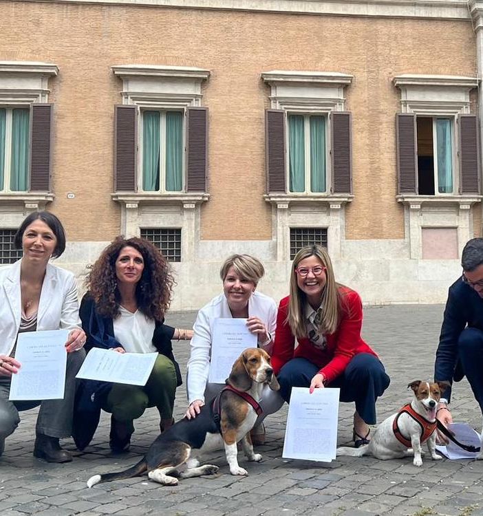 Animali da affezione, Gadda: «Serve inquadramento giuridico toelettatori»