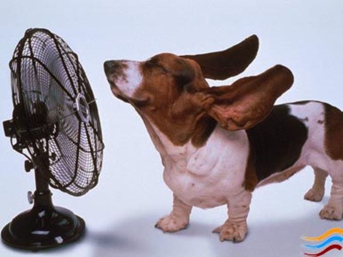 «Tra oggi e domani l'apice dell'ondata di calore con afa prima dei temporali. E nel weekend...»