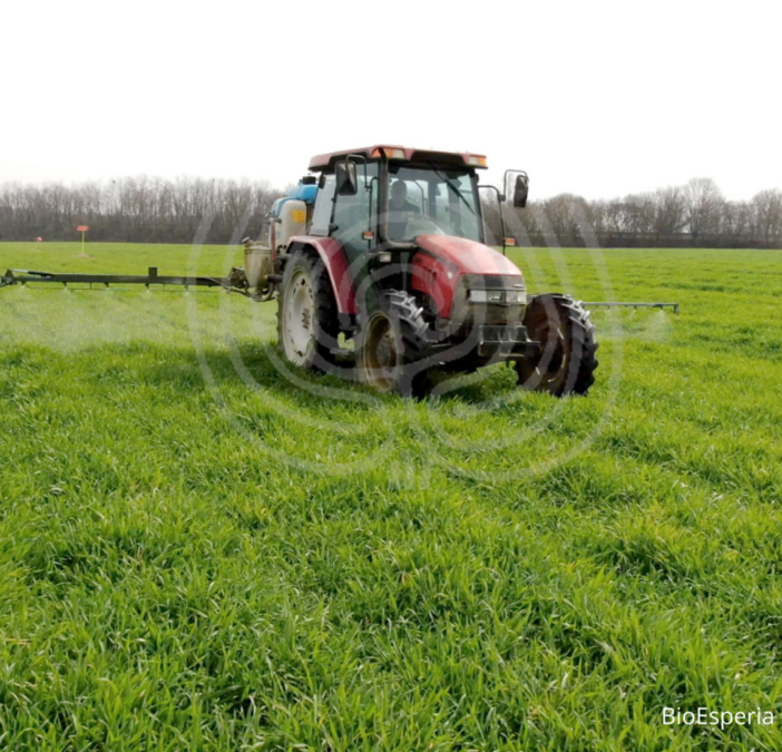BioDea una soluzione concreta per la coltivazione del grano