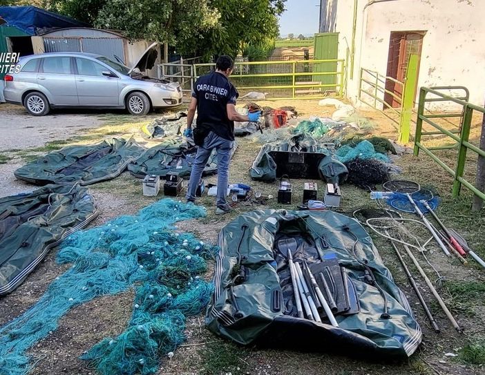 Razzia di pesci catturati con l’elettricità: blitz dei forestali anche in provincia di Varese. L'indagine è partita grazie alle segnalazioni dei pescatori