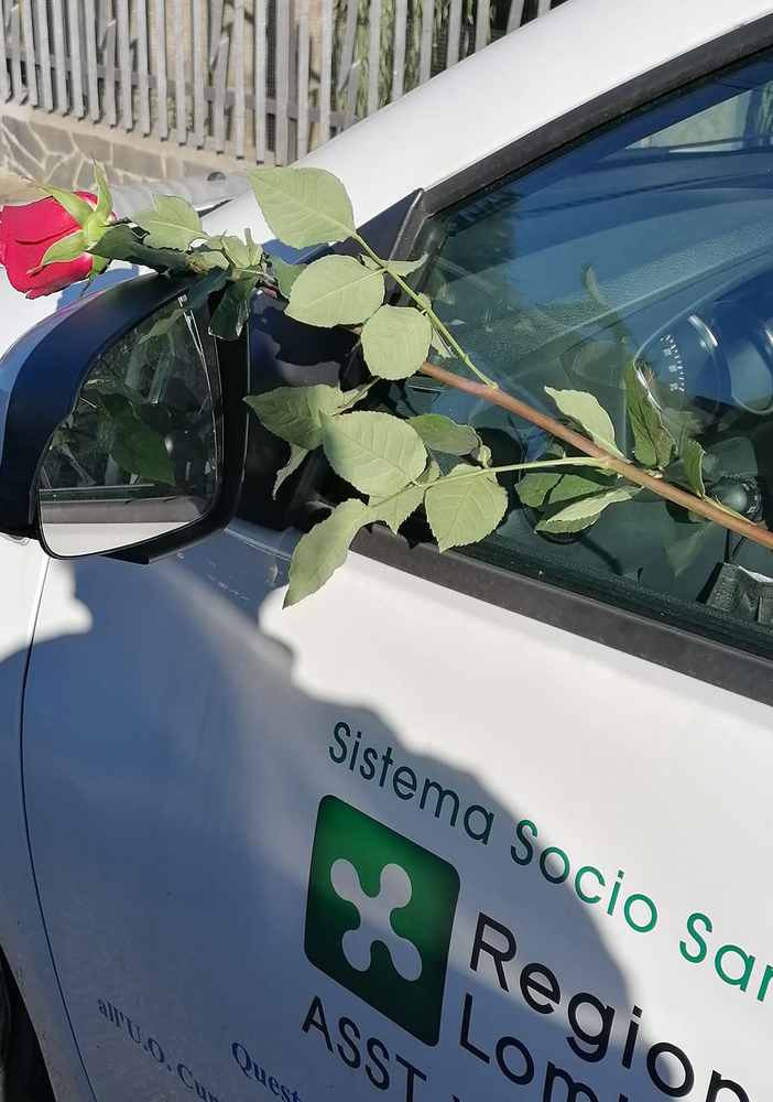 La rosa lasciata sull'auto