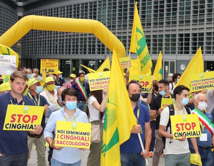 &quot;Noi seminiamo, i cinghiali raccolgono&quot;: rabbia e proteste degli agricoltori davanti alla Regione