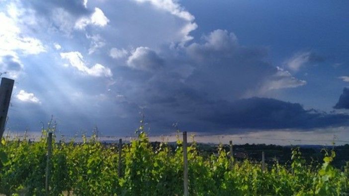 CHE TEMPO FARÀ. Oggi e domani potrebbero essere toccati i 30 gradi. Ma tornano i temporali