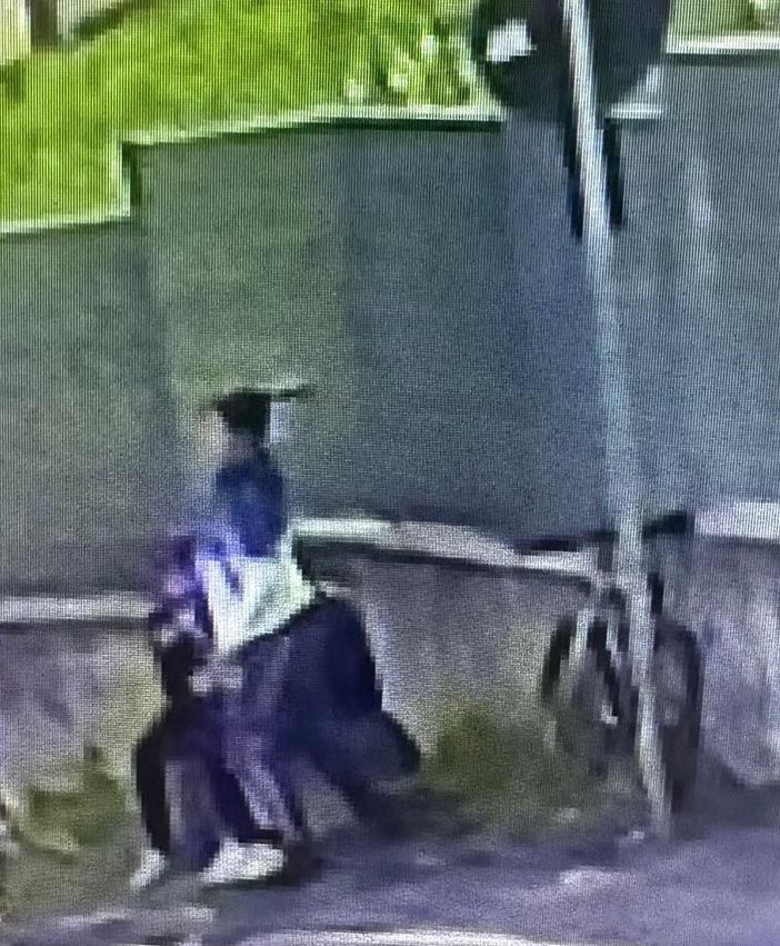 I vandali immortalati dalla telecamere della videosorveglianza di Cavaria con Premezzo