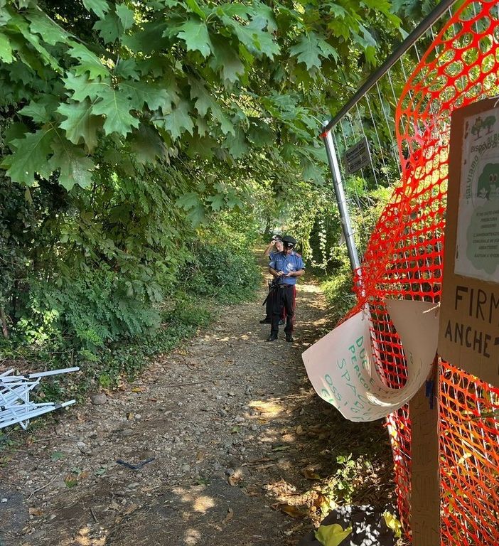 Il bosco di via Curtatone a Gallarate