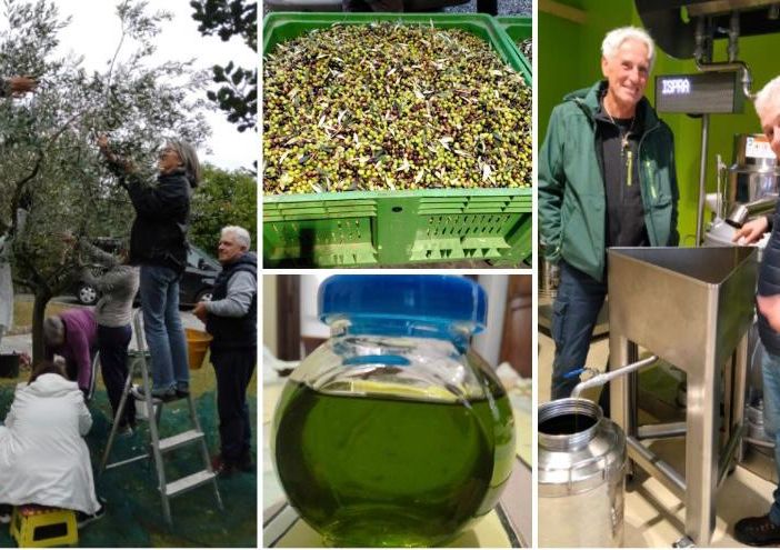 Alcune immagini della nascita dell'olio di Ispra