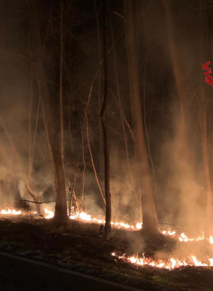 Incendio nella notte nel bosco di Lonate Ceppino, fiamme circoscritte grazie ai vigili del fuoco
