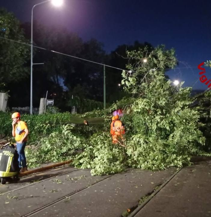 L'albero di 20 metri crollato a Milano per il maltempo