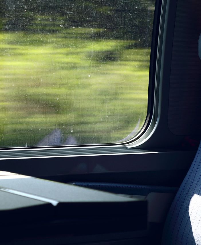 Dal 1° aprile bici e animali domestici viaggiano gratis sui treni di Trenord