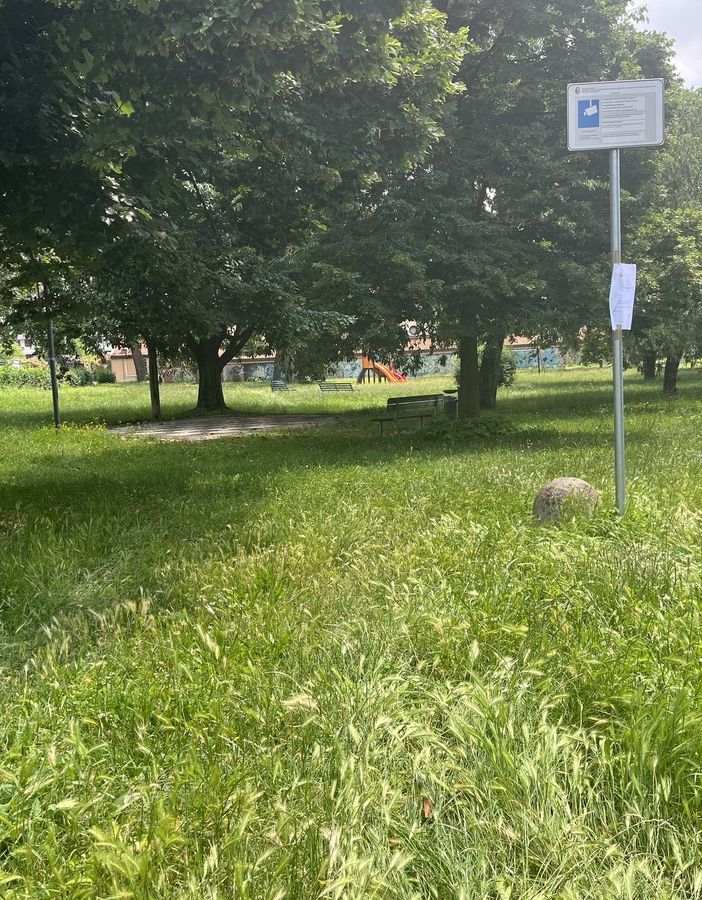 Sos verde pubblico, al via la nuova impresa a Castellanza