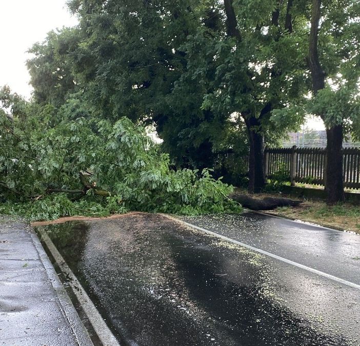 Maltempo a Busto: giù alberi e strade bloccate. Treni in tilt
