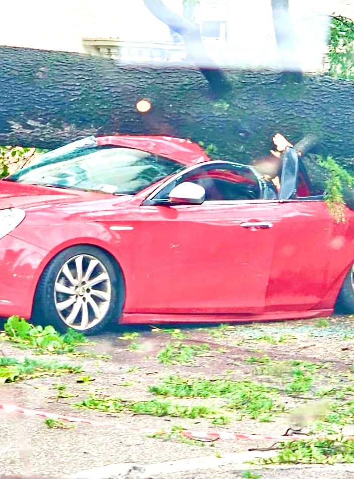L'auto distrutta dal crollo di un albero davanti all'Esselunga di viale Borri a Varese. Sotto nella prima foto della gallery: a sinistra le lamiere cadute sulla ferrovia in via Bainsizza (foto Michael Balzano da NaturalMeteo), a destra alberi caduti in strada in Valganna (foto di Valeria Brugnoni da Facebook). Sempre in gallery i danni del maltempo in diverse zone di Varese e della provincia L'auto distrutta dal crollo di un albero davanti all'Esselunga di viale Borri a Varese. Sotto nella prima foto della gallery: a sinistra le lamiere cadute sulla ferrovia in via Bainsizza (foto Michael Balzano da NaturalMeteo), a destra alberi caduti in strada in Valganna (foto di Valeria Brugnoni da Facebook). Sempre in gallery i danni del maltempo in diverse zone di Varese e della provincia