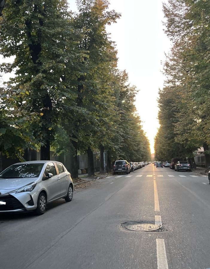 Viale Lombardia