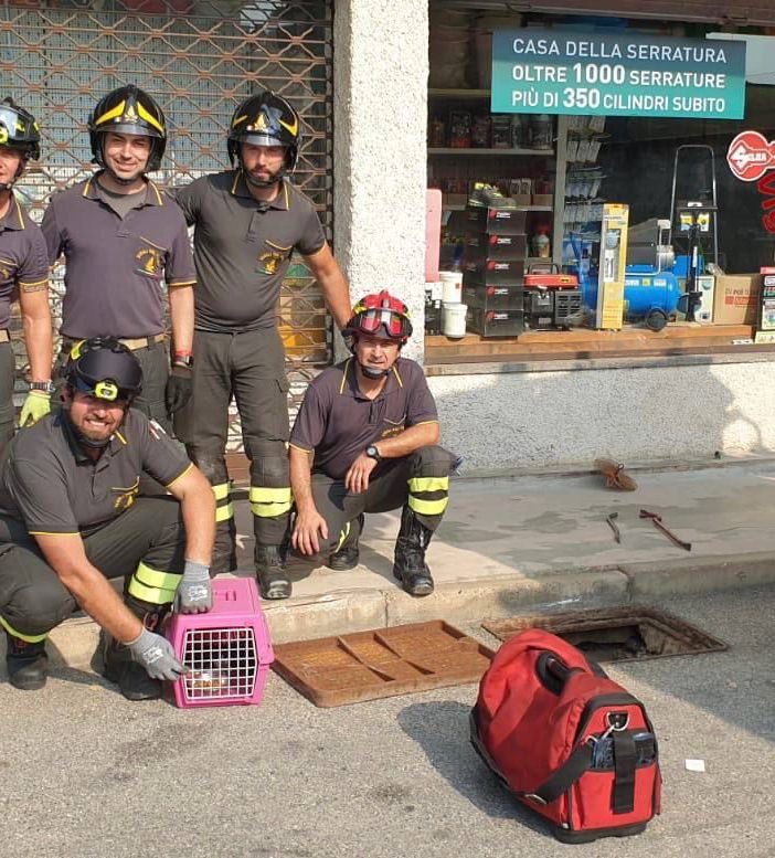 FOTO. Sesto, due gattini estratti dalle tubazioni e salvati dai vigili del fuoco