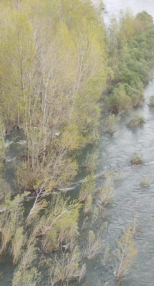 FOTO. Si ribaltano con la canoa nelle acque del Ticino: salvati dai vigili del fuoco