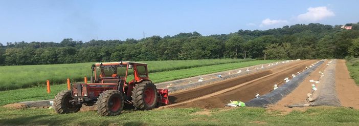 Energia, Coldiretti: caro bolletta costa 9 miliardi  all’agricoltura e colpisce anche il made in Varese