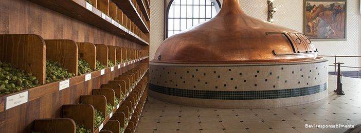 (foto dalla pagina Facebook dell'azienda)