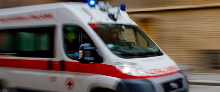 Anziano aggredito da tre cani nei boschi di Vizzola Ticino: trasportato al pronto soccorso con una ferita al polpaccio