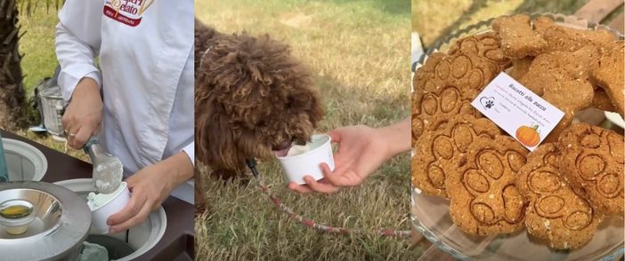 Una coccola per rinfrescare anche Fido alla gelateria “Il Dolce Sogno”