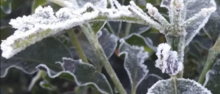 Freddo da vero inverno. Ma l'Epifania sarà asciutta sul Varesotto Freddo da vero inverno. Ma l'Epifania sarà asciutta sul Varesotto