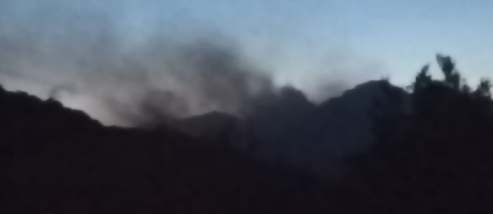 LA LETTERA. Quel fumo oltre gli alberi e l'angoscia. Ma anche gratitudine per chi si sta battendo contro gli incendi nel Vco