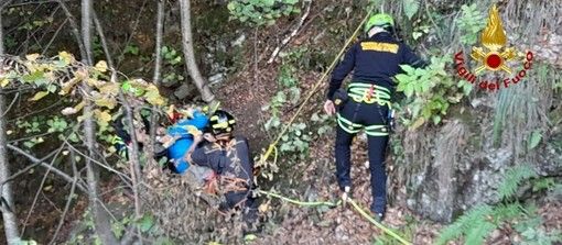 Due cercatori di funghi lombardi soccorsi nei boschi del Verbano Cusio Ossola Due cercatori di funghi lombardi soccorsi nei boschi del Verbano Cusio Ossola