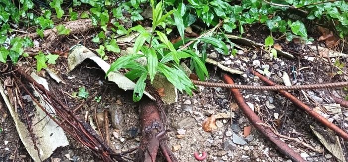 Gestione terre e rocce da scavo, i controlli del dipartimento di Como e Varese di Arpa Lombardia: 75 sopralluoghi e 108 campioni prelevati Gestione terre e rocce da scavo, i controlli del dipartimento di Como e Varese di Arpa Lombardia: 75 sopralluoghi e 108 campioni prelevati