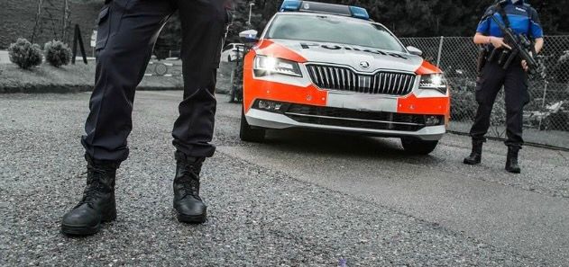 Furti con scasso in Canton Ticino: due arresti. Tra loro una 36enne italiana Furti con scasso in Canton Ticino: due arresti. Tra loro una 36enne italiana