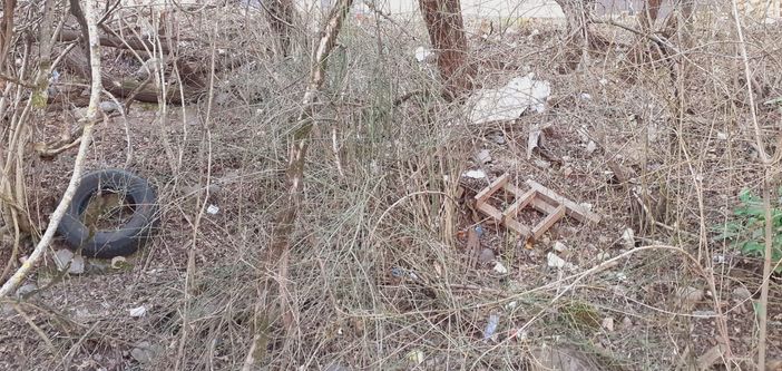 FOTO. Rifiuti abbandonati nell'area boschiva della zona industriale di Brunello