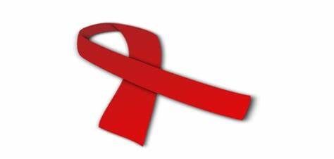 Legnano: iniziative per la Giornata internazionale contro la violenza sulle donne