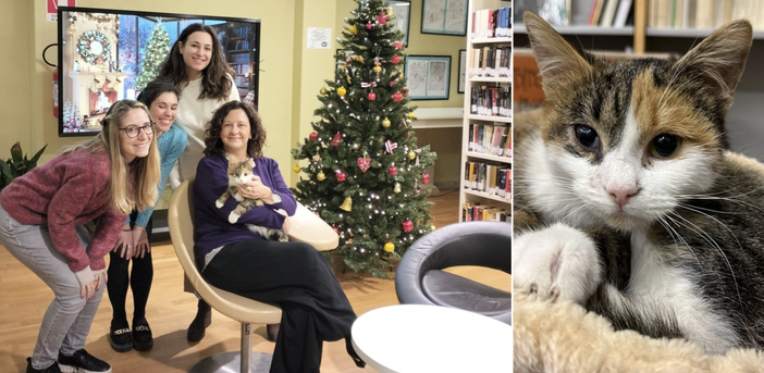 La favola di Natale più bella in biblioteca miagola e si chiama Biba
