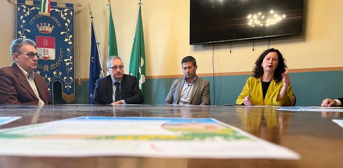 VIDEO. Bustocchi, avete un tesoro in casa: «È la vostra stanza in più, ecco come farla rendere» VIDEO. Bustocchi, avete un tesoro in casa: «È la vostra stanza in più, ecco come farla rendere»