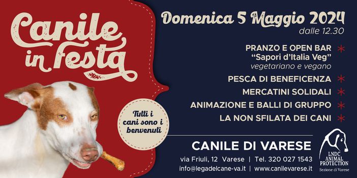 Al canile di Varese una domenica di festa, buon cibo e tanto amore per gli amici pelosi Al canile di Varese una domenica di festa, buon cibo e tanto amore per gli amici pelosi