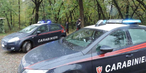 Blitz nei boschi dello spaccio a Sesto Calende: i carabinieri sorprendono nel sonno due pusher e li arrestano Blitz nei boschi dello spaccio a Sesto Calende: i carabinieri sorprendono nel sonno due pusher e li arrestano