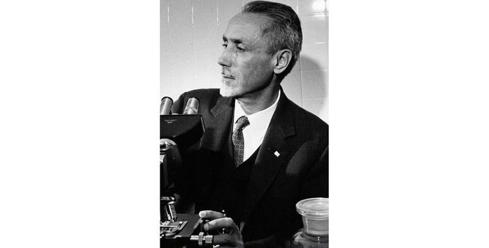 Premio Mario Pavan: 2.500 euro alla tesi di dottorato migliore sulla transizione ecologica Premio Mario Pavan: 2.500 euro alla tesi di dottorato migliore sulla transizione ecologica