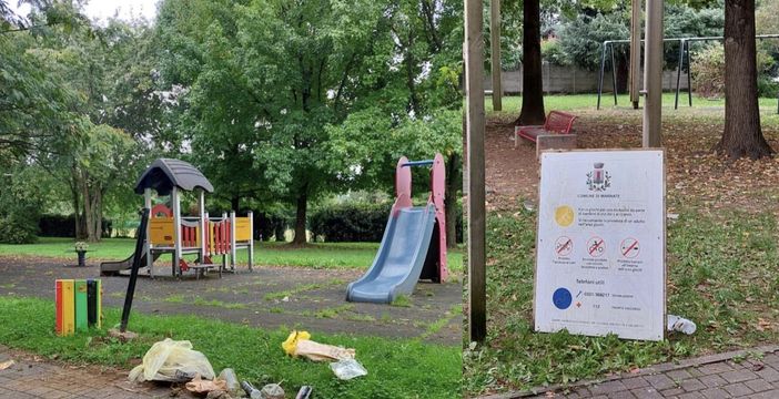 Vandali nel parco di Marnate, incastrati dalle telecamere Vandali nel parco di Marnate, incastrati dalle telecamere