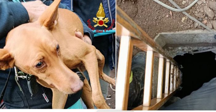 foto per cortesia dei vigili del fuoco foto per cortesia dei vigili del fuoco