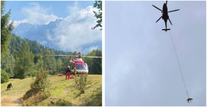 Le operazioni di salvataggio dell'animale da parte dei vigili del fuoco