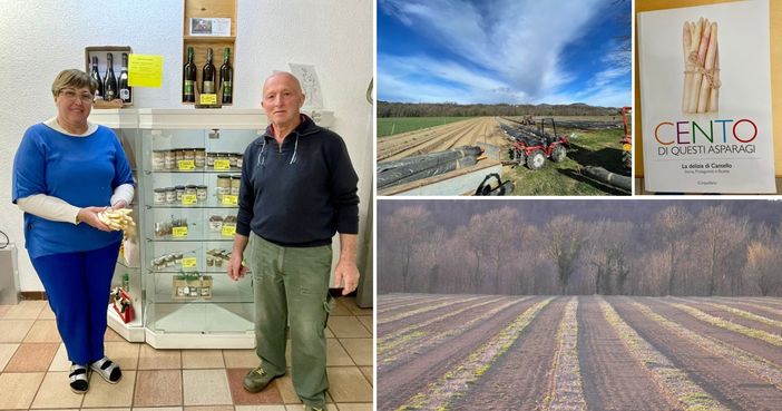 Antonella e Giacomo nel punto vendita della loro azienda agricola; i loro campi coltivati; il libro &quot;Cento di questi asparagi&quot;