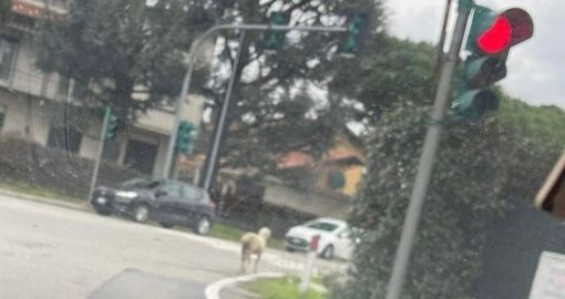 Foto di Romina Luongo Foto di Romina Luongo