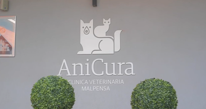 Target. Nella seconda puntata spazio alla clinica veterinaria AniCura di Malpensa
