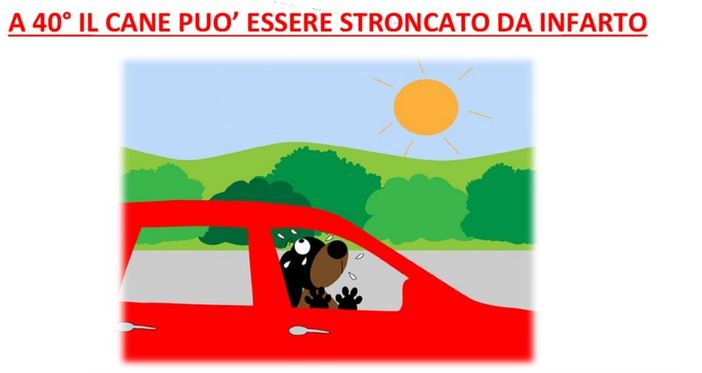 «Non lasciate il cane in auto con questa afa: non ci faremo problemi a rompere i finestrini»