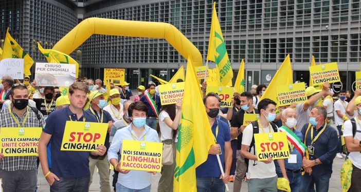 "Noi seminiamo, i cinghiali raccolgono": rabbia e proteste degli agricoltori davanti alla Regione "Noi seminiamo, i cinghiali raccolgono": rabbia e proteste degli agricoltori davanti alla Regione