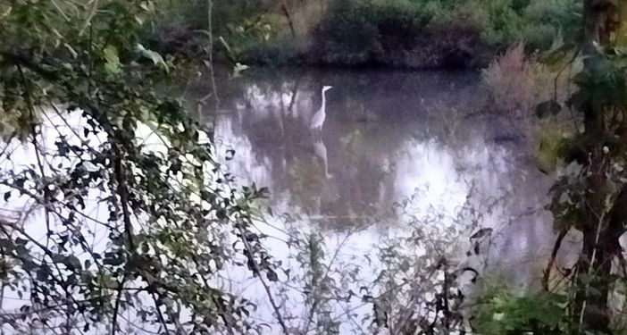 Meravigliosi incontri. Dalla pagina Facebook del Gruppo di cammino fagnanese