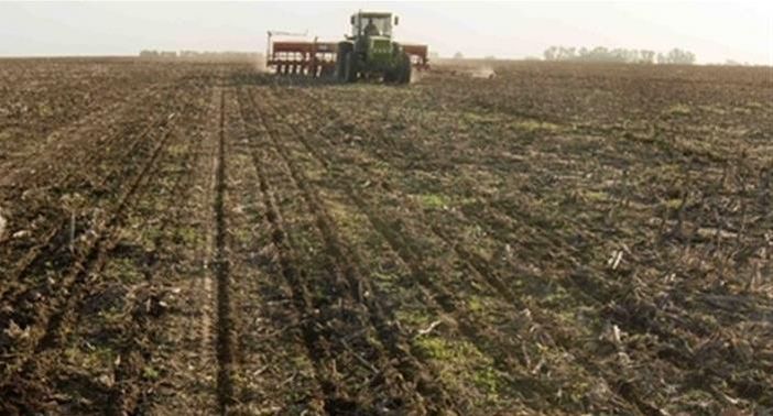 "Brùsogiu" - "Bruciore di stomaco"