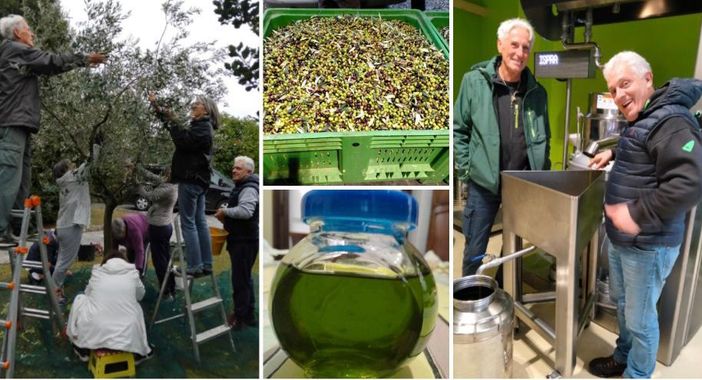 Alcune immagini della nascita dell'olio di Ispra Alcune immagini della nascita dell'olio di Ispra