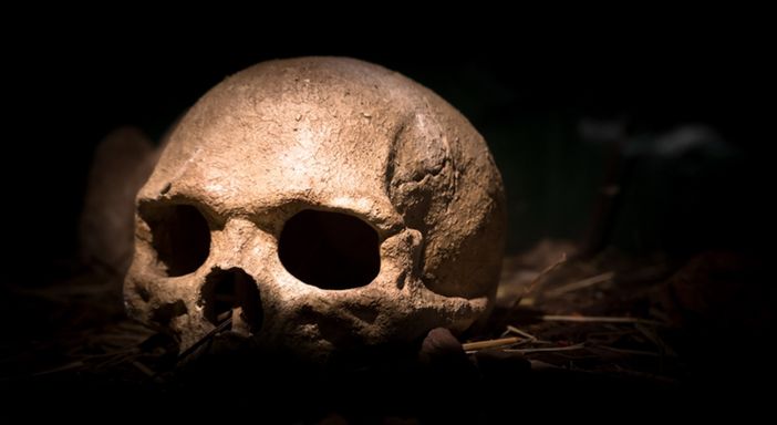 Escape Room Horror, quando la paura diventa realtà